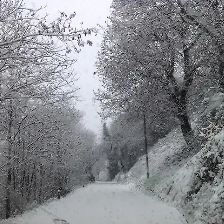 Bellezze Di Montagna Sul Lago D'iseo Appartamento Pisogne
